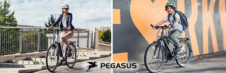 Pegasus Fahrradmarke Information und Produkte